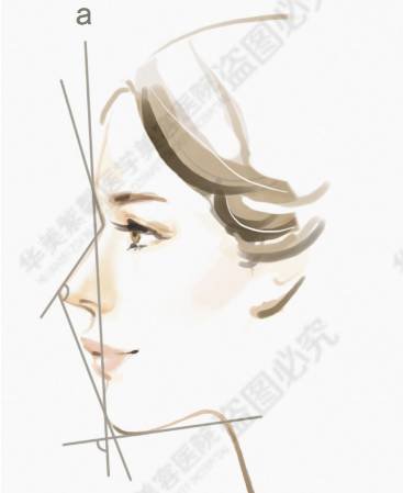 https://img.miyanlife.com/timg/160907/1942055S9-1.jpg
