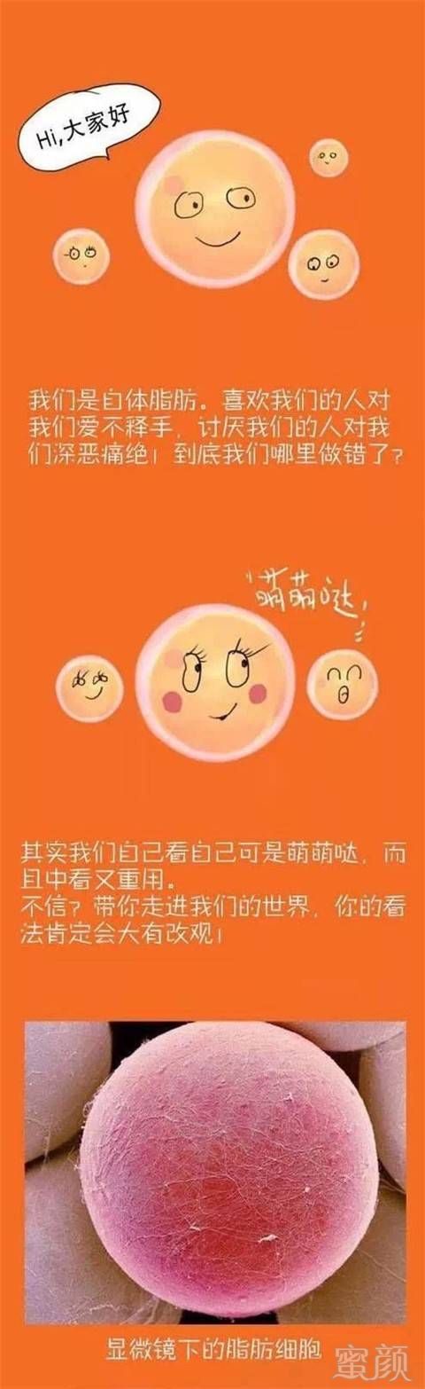https://img.miyanlife.com/timg/160910/103Q55145-0.jpg