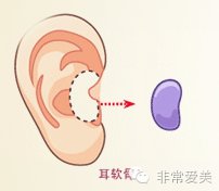 https://img.miyanlife.com/timg/160912/103Z94546-4.jpg
