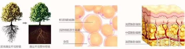 https://img.miyanlife.com/timg/160916/2059545615-1.jpg
