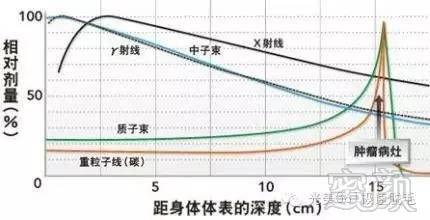 案例图片