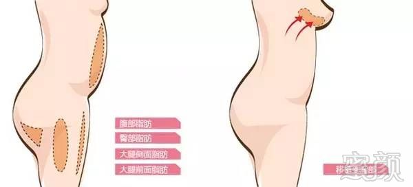 https://img.miyanlife.com/timg/161012/1935152023-6.jpg