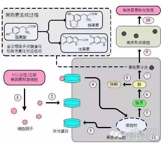 案例图片