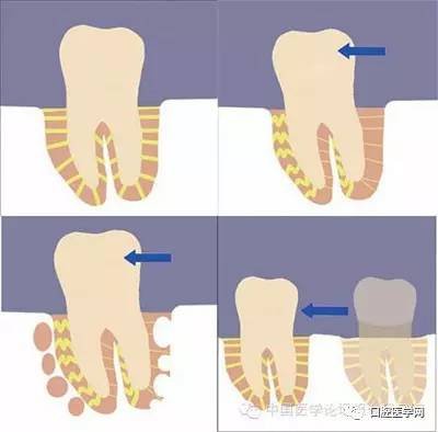 案例图片