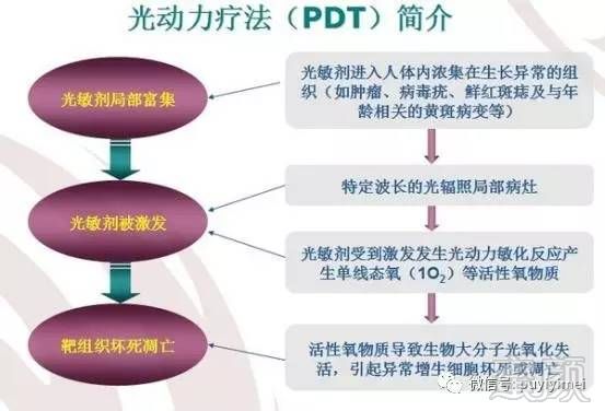 案例图片