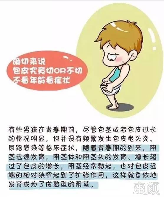 案例图片