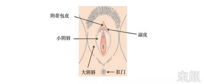 案例图片