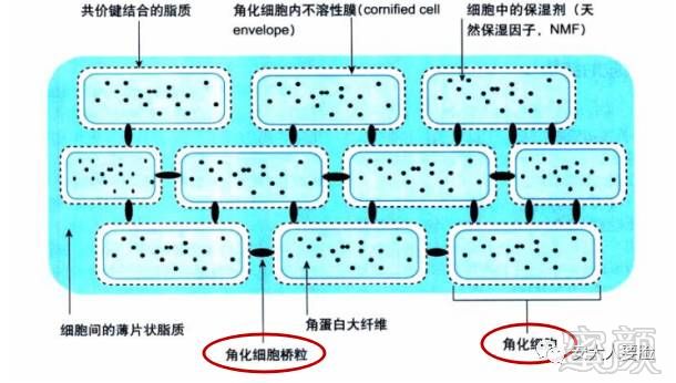 案例图片