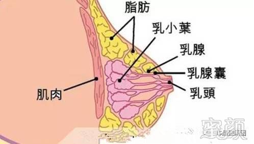 案例图片