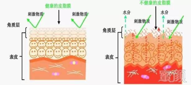 案例图片