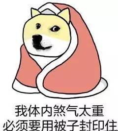 案例图片