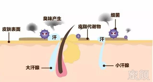 案例图片