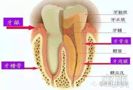 https://img.miyanlife.com/timg/170405/223242L00-0.jpg