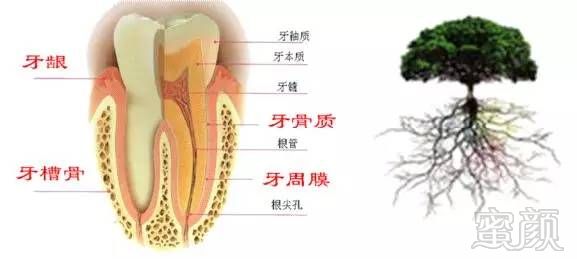 https://img.miyanlife.com/timg/170405/2232433023-7.jpg