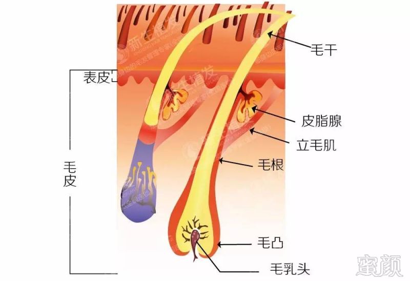 案例图片