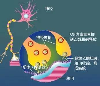 案例图片