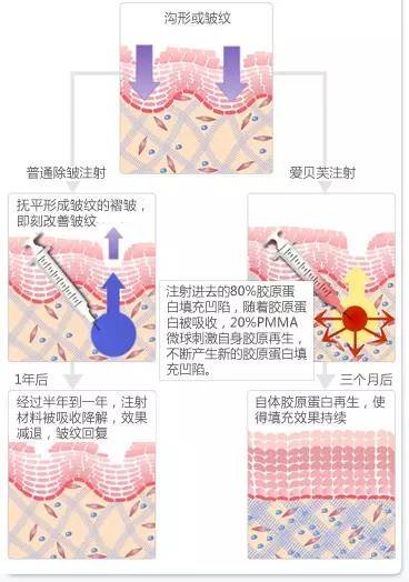 案例图片