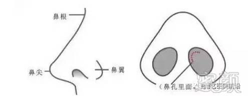 https://img.miyanlife.com/timg/170420/00023H607-3.jpg