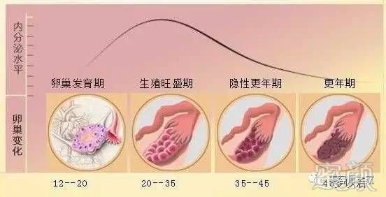 https://img.miyanlife.com/timg/170420/002P23L9-5.jpg