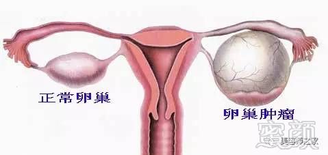 https://img.miyanlife.com/timg/170420/002P24L4-4.jpg