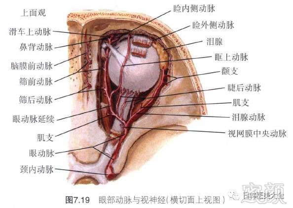 https://img.miyanlife.com/timg/170503/00105Qc0-4.jpg