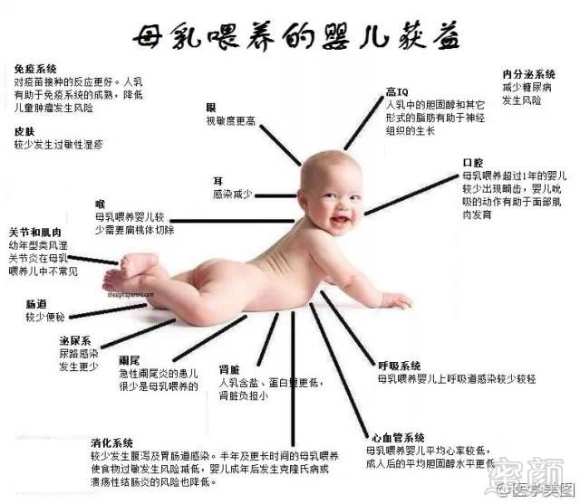 https://img.miyanlife.com/timg/170503/2041291600-1.jpg