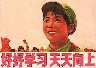 案例图片